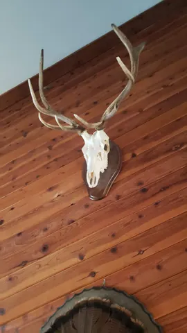 Measuring stud locations with level for precision wall hanging