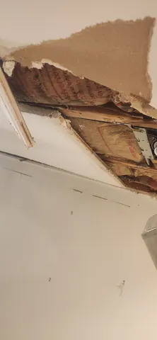 Pre-repair staining and active leak location in office space